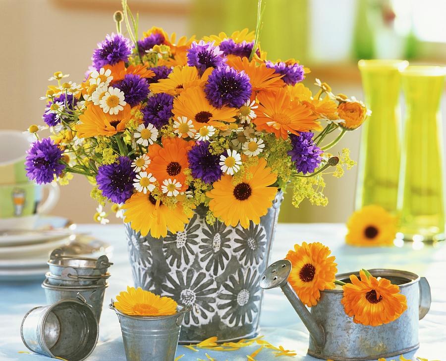 Marigolds, Cornflowers, Ladys Mantle And Chamomile In Bucket Photograph by Friedrich Strauss