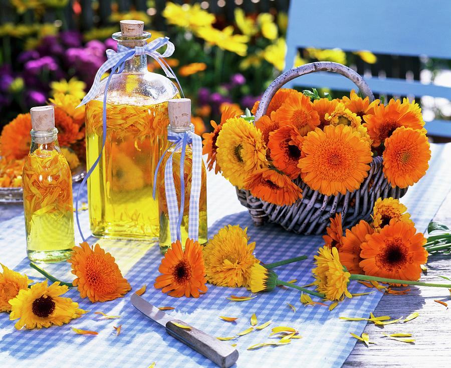 Bottle Photograph - Marigolds In Basket And Bottles Of Marigold Oil by Strauss, Friedrich