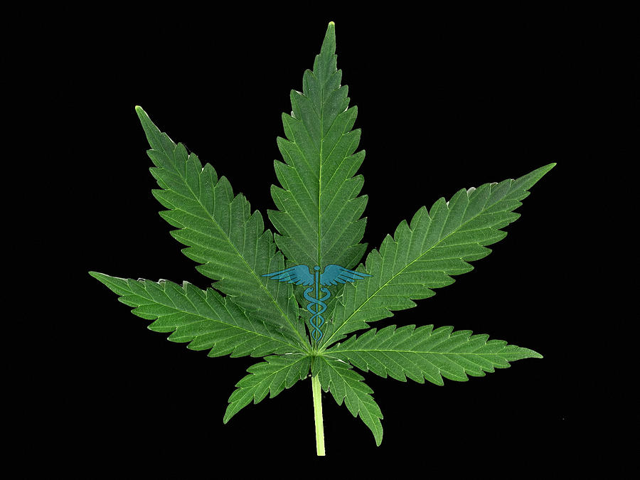 Marijuana Photograph - Marijuana Leaf with Caduceus by Pat Cook