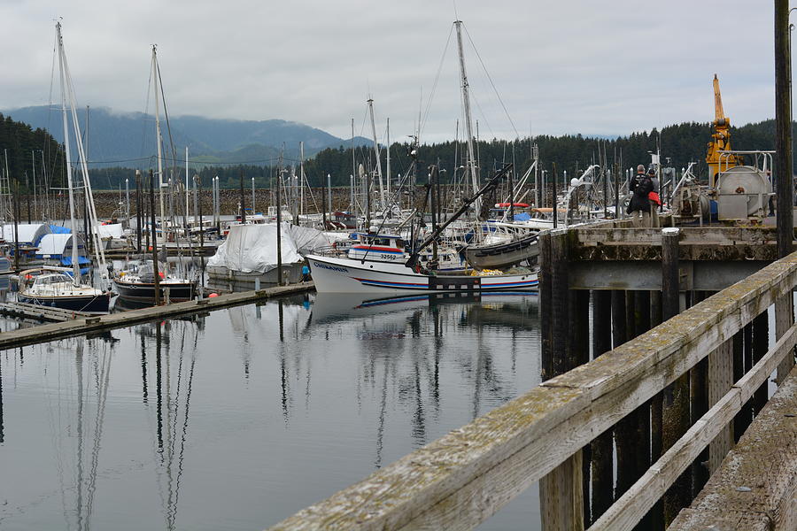 Marina at Icy Strait Point by Joe Smiga Marina at Icy Strait Point by Joe Smiga