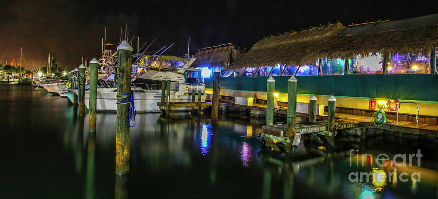 Marina Boats and Restaurant Photograph by Tom Claud