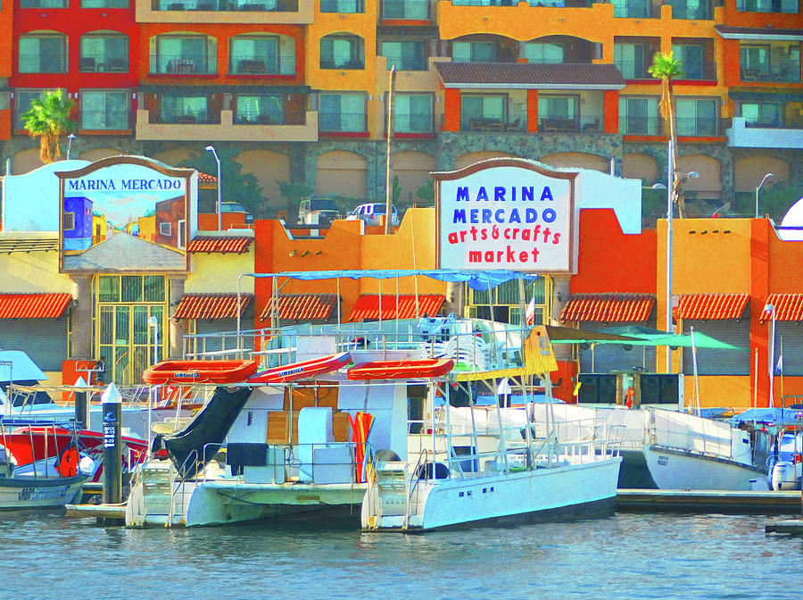 Marina Mercado in Cabo San Lucas Photograph by Emmy Marie Vickers