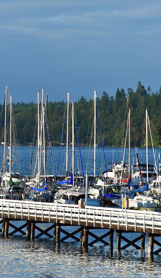 Marina Port Hadlock Photograph by Lisa Kleiner - Fine Art America