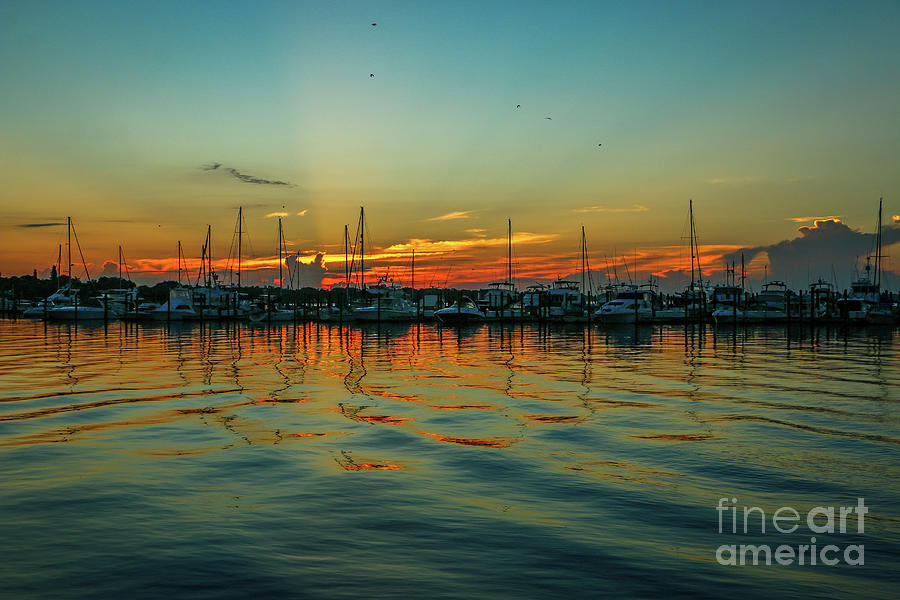 Marina Reflection Sunrise Photograph by Tom Claud