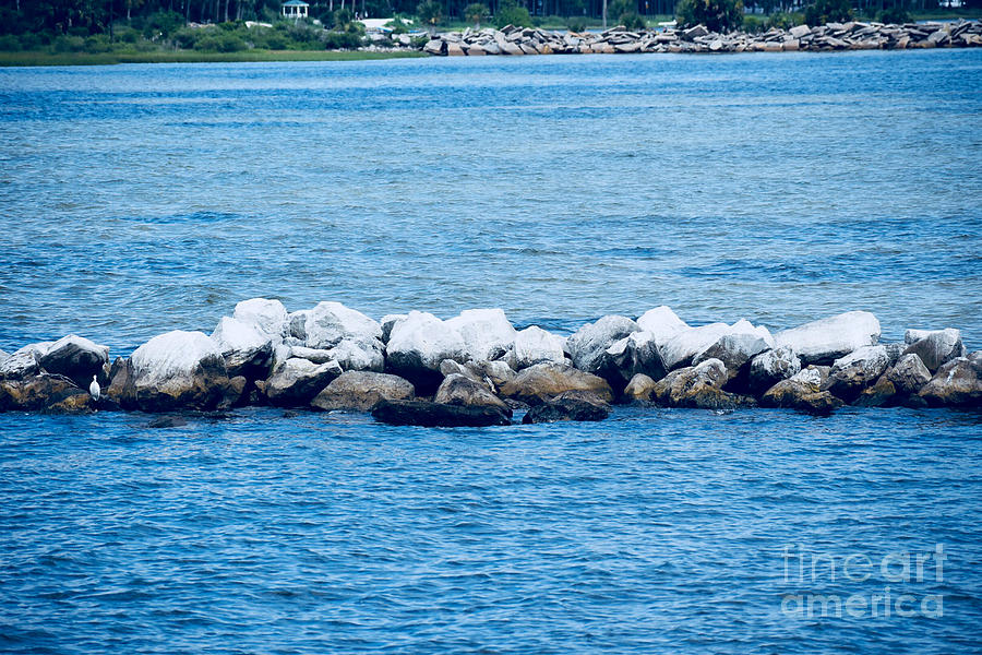 Port St. Joe Marina view 26a Photograph by Olga Burt - Pixels