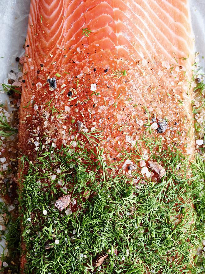 Marinating Salmon Photograph by Oliver Brachat