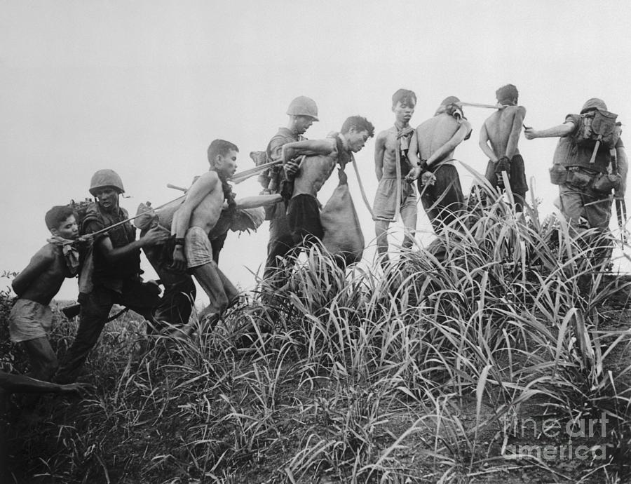 Vietnam War Photograph - Marines Leading Bound Viet Cong by Bettmann