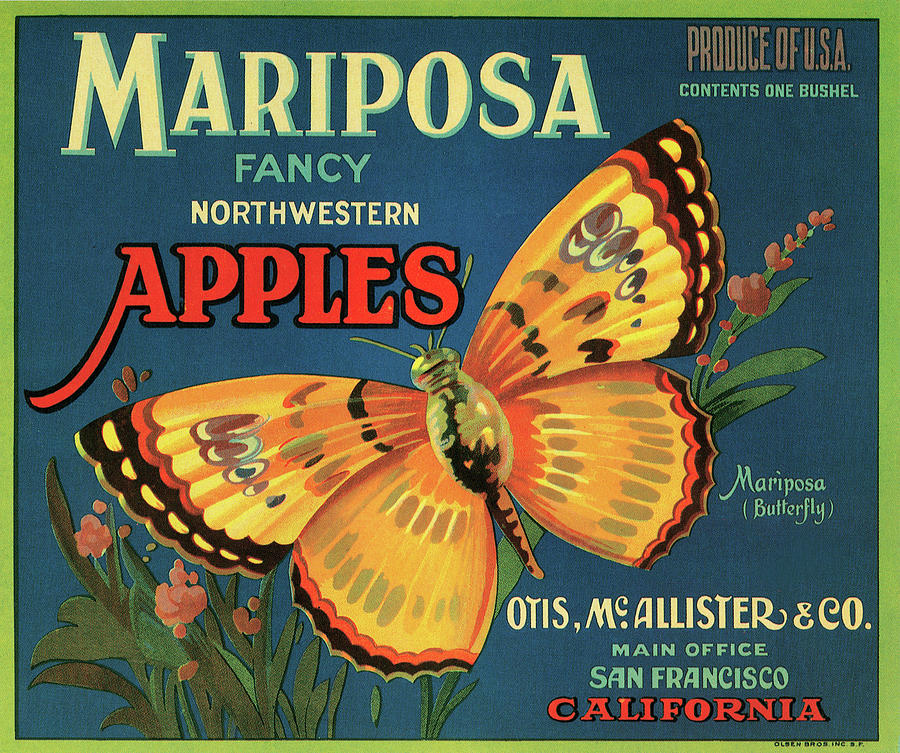 Mariposa Brand Apples Painting by Unknown