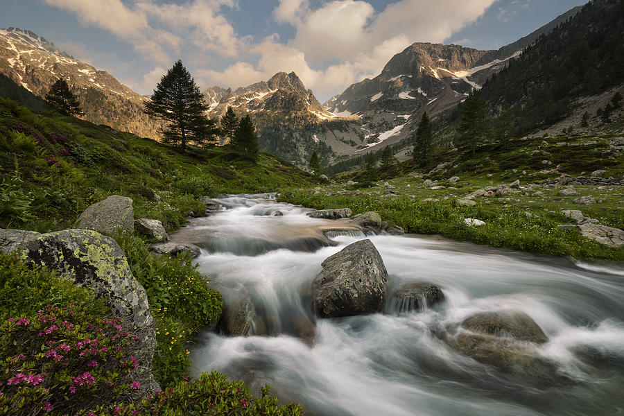 Mountain Photograph - Maritime Alps Park by Paolo Bolla