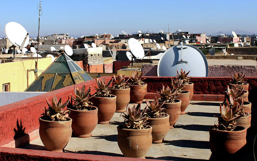 Marrakesh Rooftop Planters Photograph by Jonathan Thompson