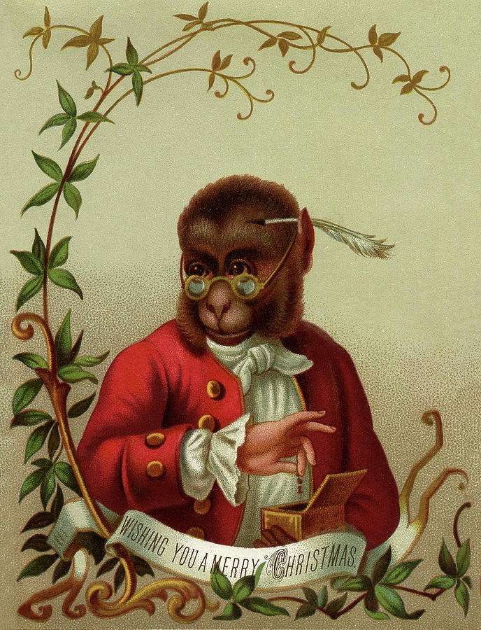 Marry Christmas from a Monkey Digital Art by Long Shot