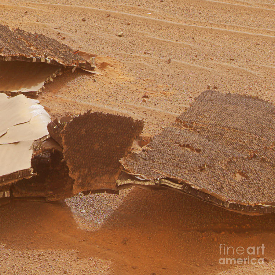 Mars Exploration Craft Heat Shield Photograph by Nasa/science Photo Library