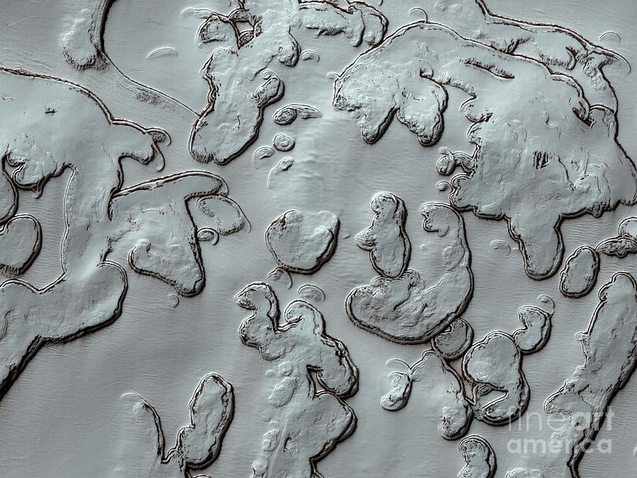 Mars Polar Cap Photograph by Nasa/jpl/uarizona/science Photo Library