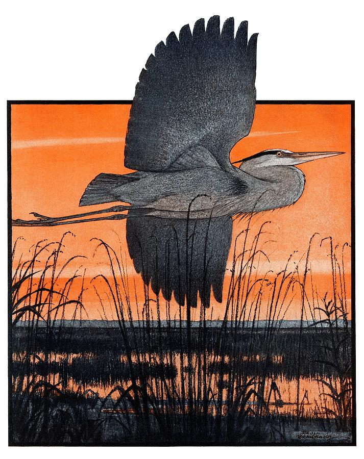 Marsh Bird Drawing by Paul Bransom