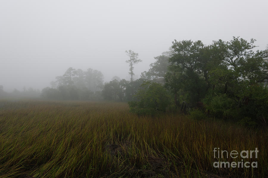 Marsh Fog Gospel Photograph by Dale Powell