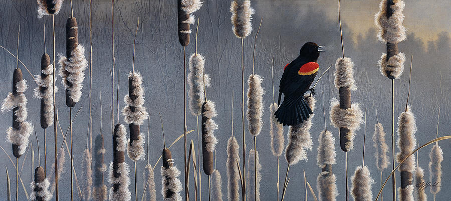Bird Painting - Marsh Notes - Red Wing Blackbird by Wilhelm Goebel