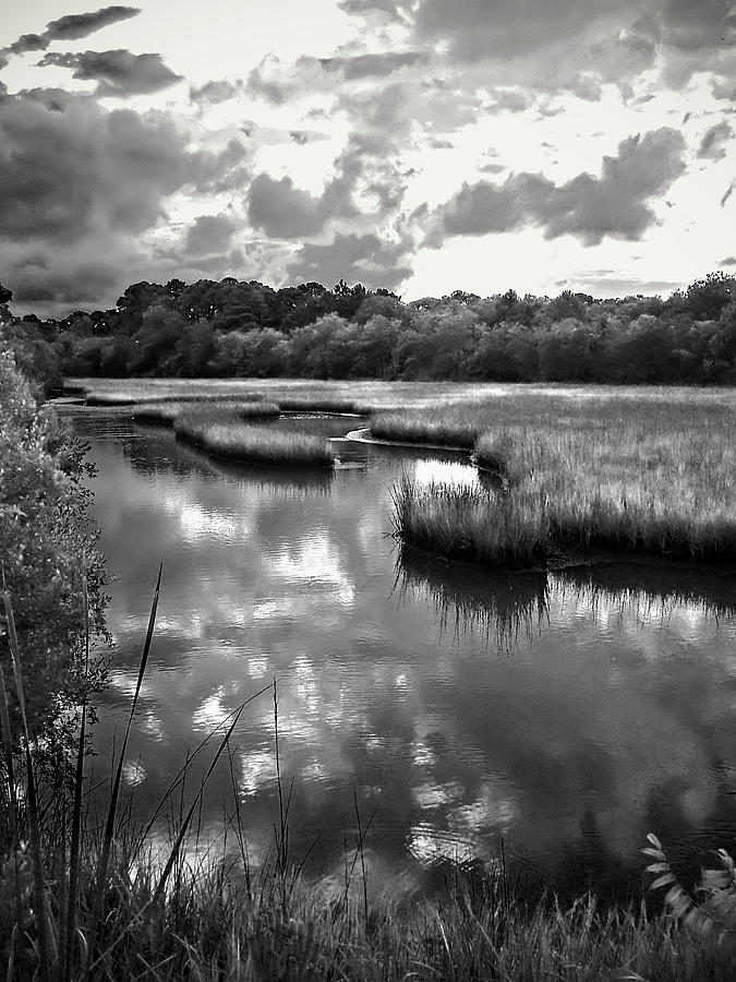 Marsh Pond In Later Afternoon Light Photograph by Joseph Shields