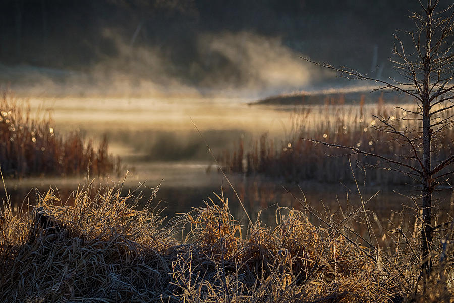 Marsh Sunrise by Penny Meyers Marsh Sunrise by Penny Meyers