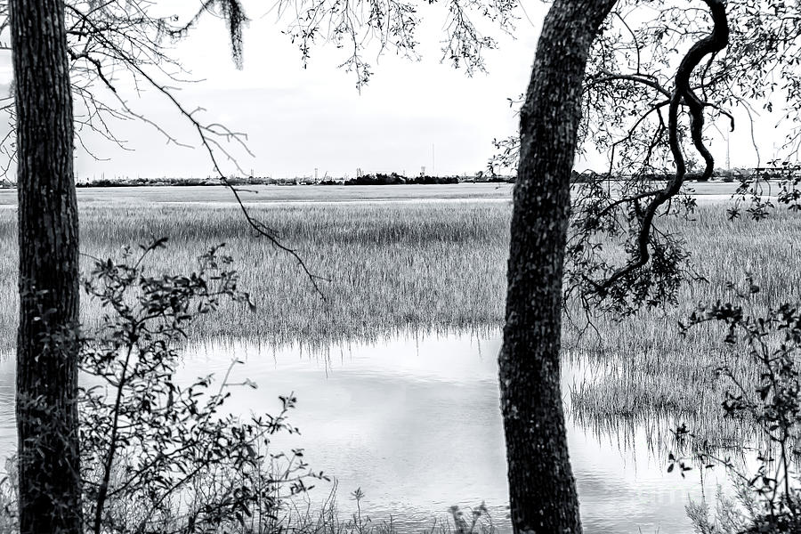 Marsh View at Charles Towne Landing Photograph by John Rizzuto