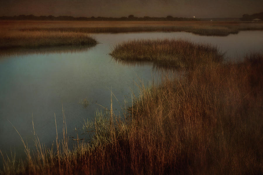 Marsh Photograph - Marsh by Wiff Harmer
