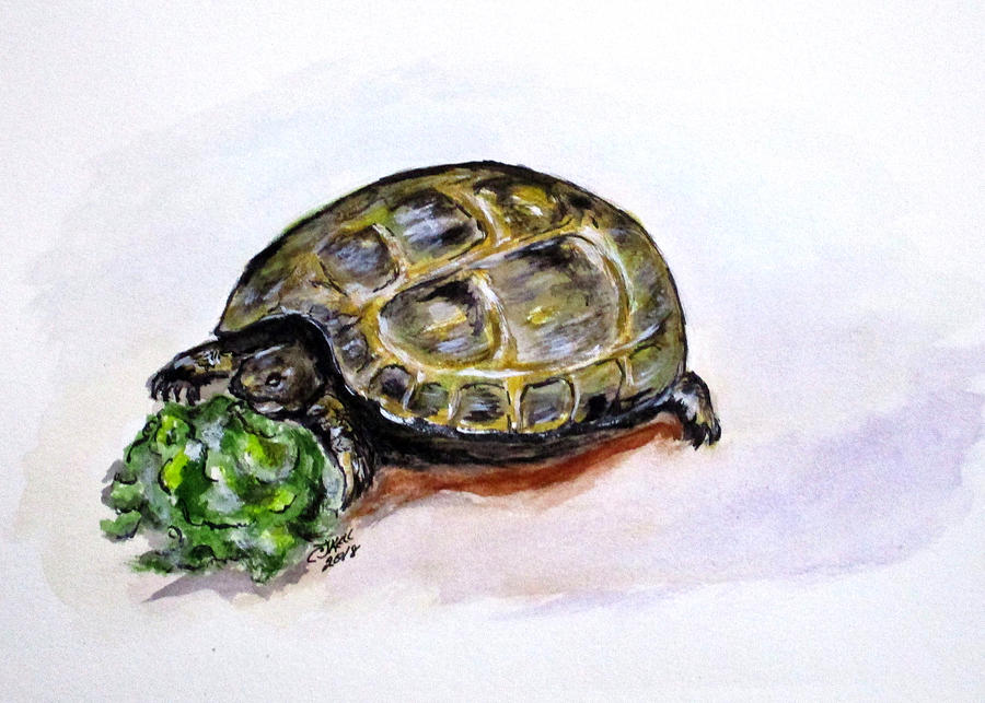 Marshal The Turtle Painting by Clyde J Kell