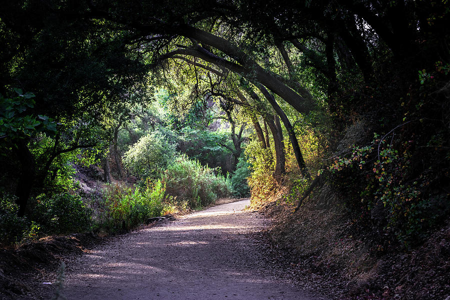 Marshall Canyon Trail Tunnel by Rick J Brown Marshall Canyon Trail Tunnel by Rick J Brown