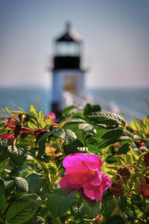 Marshall Point Lighthouse - Maine Photograph by Joann Vitali