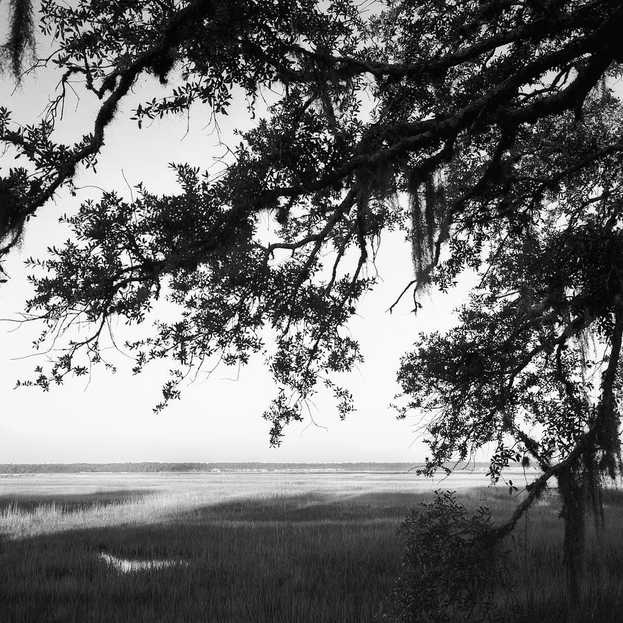 Marshes St Marys, GA Photograph by Rudy Umans