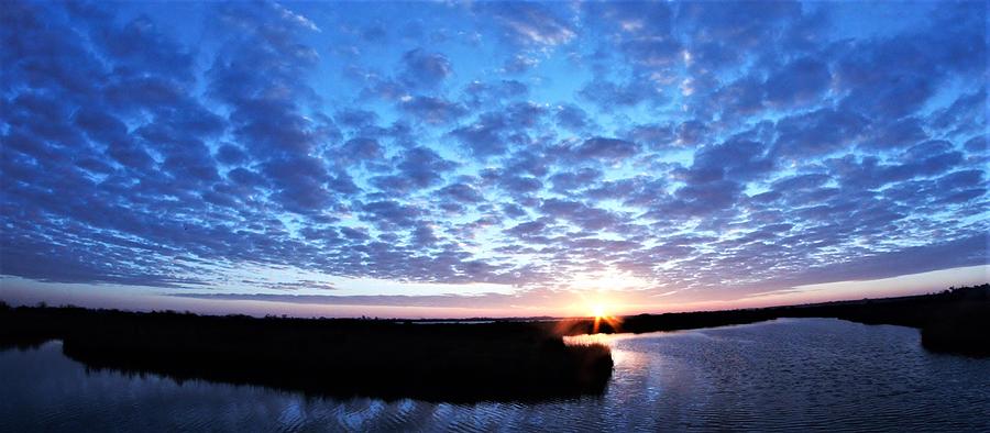 Marshland Sunrise Photograph by John Glass