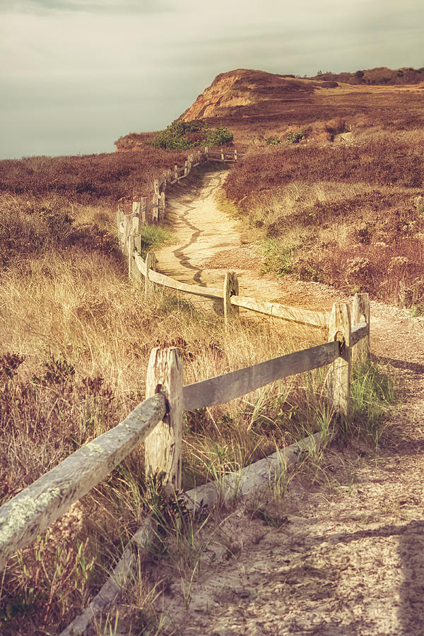 Marthas Vineyard Dunes Photograph by Joann Vitali