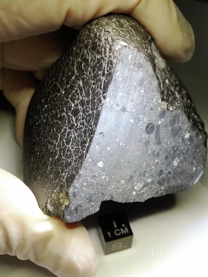 Martian Meteorite Photograph by Nasa/science Photo Library