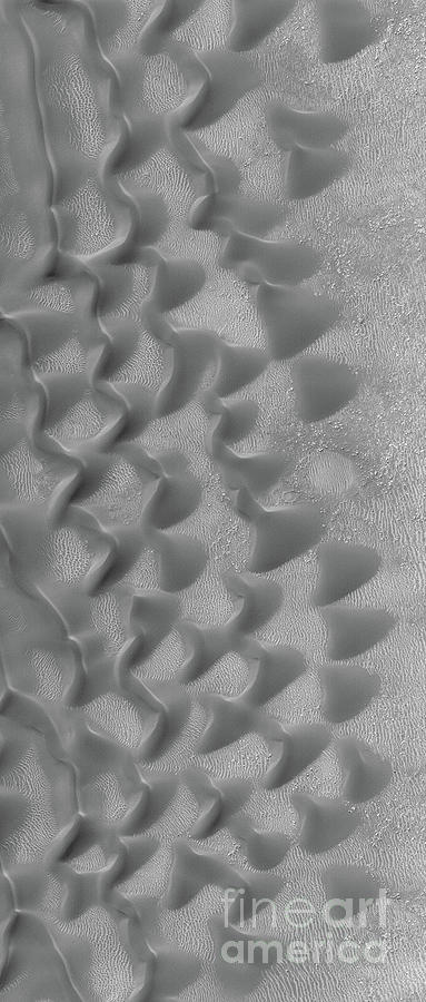 Martian Sand Dunes Photograph by Nasa/science Photo Library