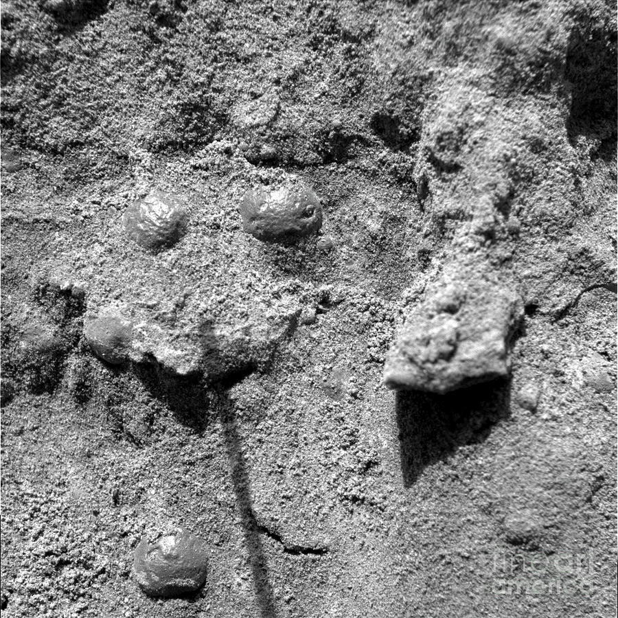 Martian Soil Photograph by Nasa/jpl/usgs/science Photo Library