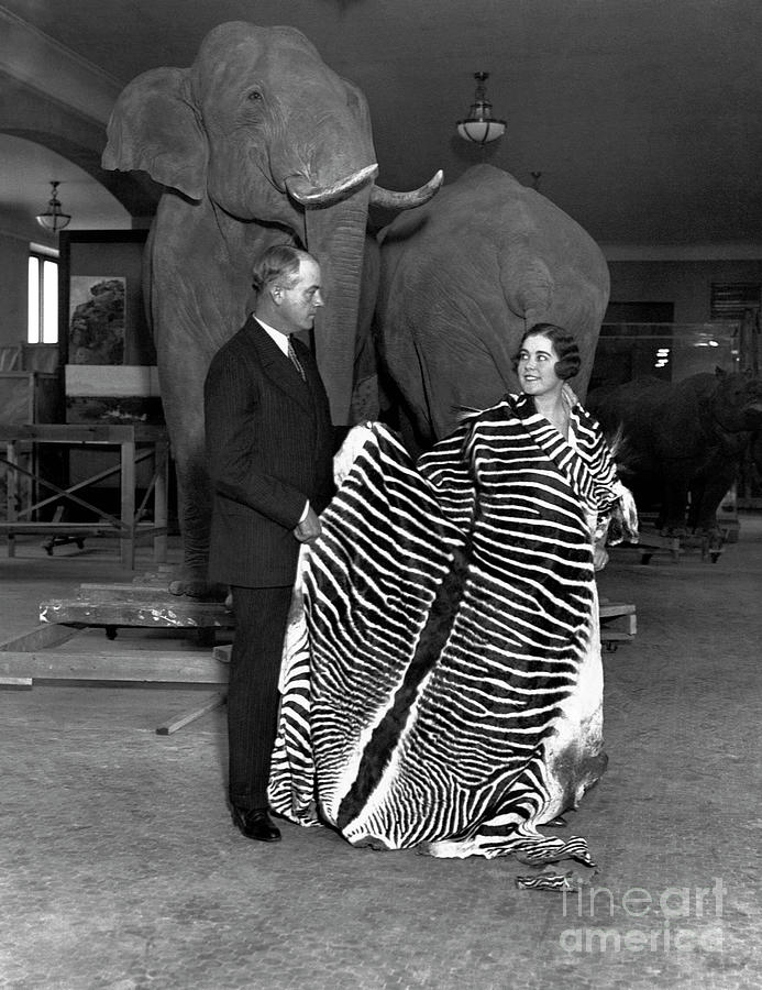 Martin And Osa Johnson At The Museum Photograph by Bettmann