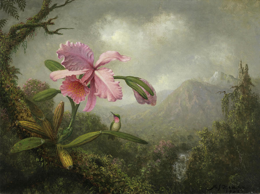 Martin Johnson Heade -Lumberville, 1819-St. Augustine, 1904-. Orchid and Hummingbird near a Water... Painting by Martin Johnson Heade -1819-1904-