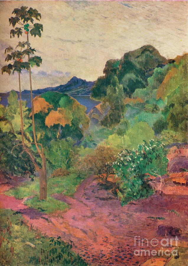 Martinique Landscape, 1887. Artist Paul Drawing by Print Collector