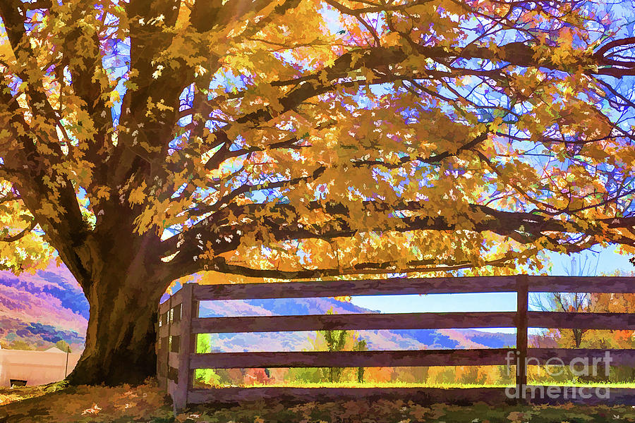 Marvelous Maple in Autumn Digital Art by Lisa Lemmons-Powers