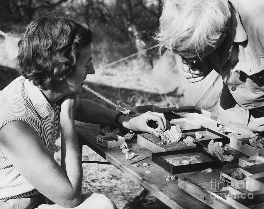 Mary And Louis Leakey Studying Skull Photograph by Bettmann