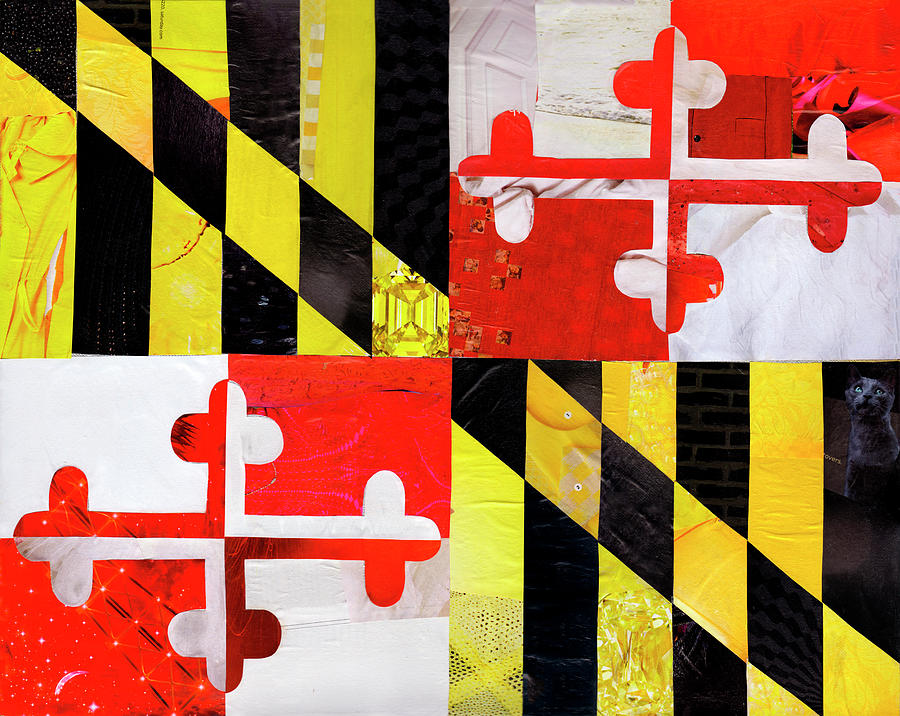 Maryland Mixed Media - Maryland by Artpoptart