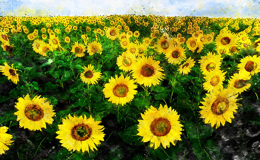 Maryland Sunflowers - 02 Painting by AM FineArtPrints