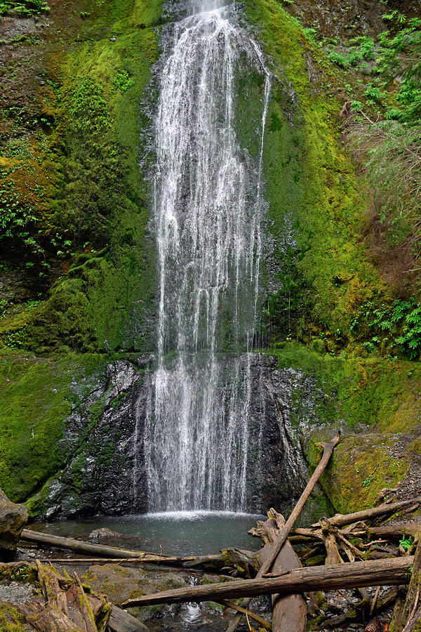 Marymere Falls Olympic National Park Photograph by Bruce Gourley