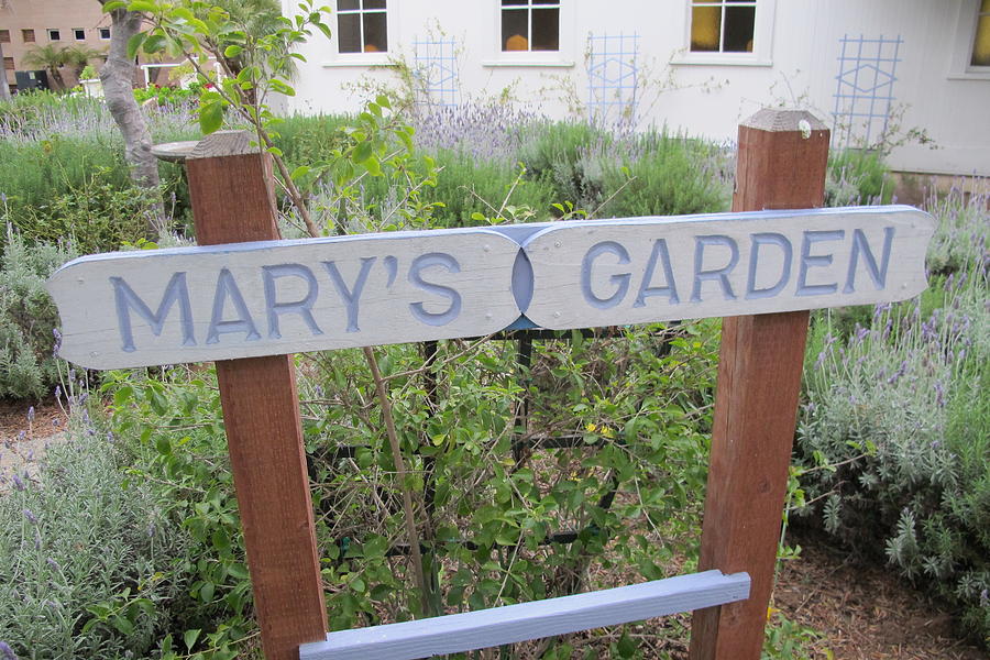 Marys Garden Photograph by Laura Smith