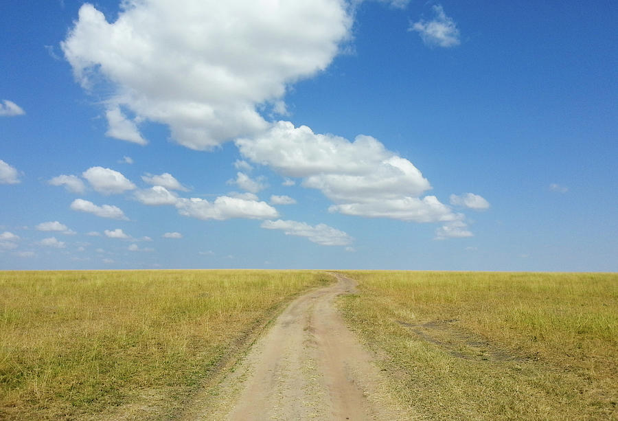 Masai Mara Dirty Road Photograph by Universal Stopping Point Photography