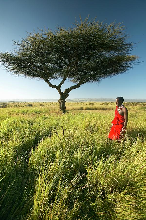 Masai Warrior In Red Standing Near Photograph by Visionsofamerica/joe Sohm