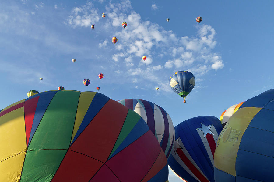 Mass Ascension At Albuquerque Hot Air Photograph by Danita Delimont