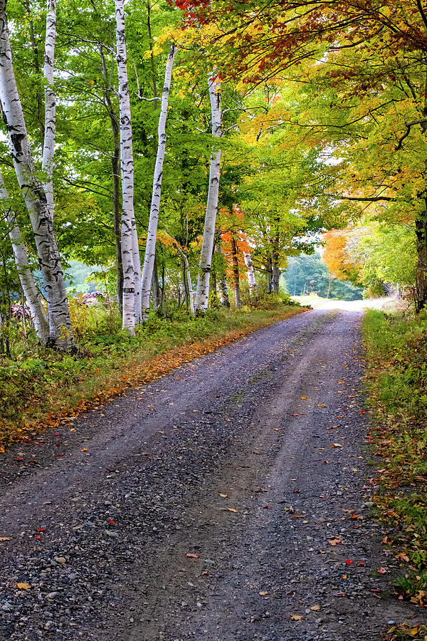Massachusetts Autumn Photograph by Tom Singleton