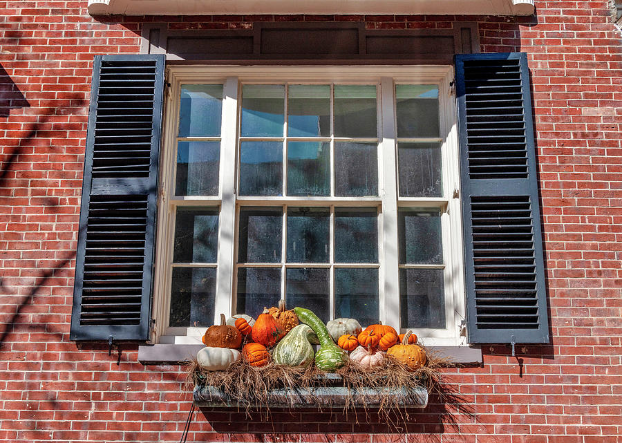 Massachusetts, Boston, Beacon Hill Neighborhood, Window Detail Digital Art by Claudia Uripos