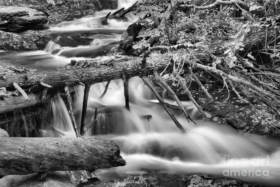 Massachusetts Sanderson Brook Falls Black And White Photograph by Adam Jewell