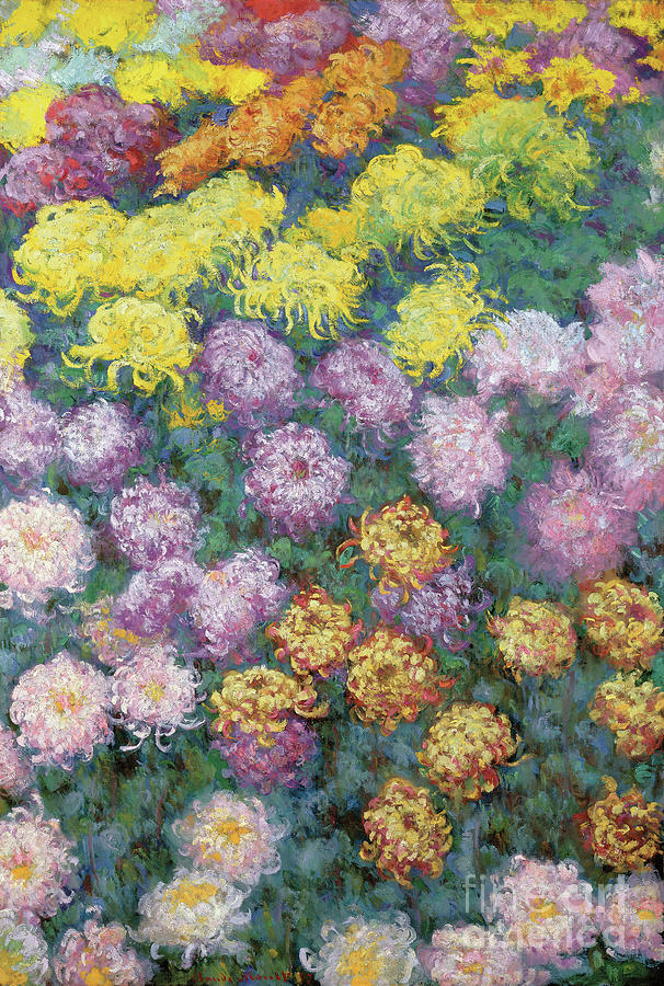Massif De Chrysanthemes, 1897 Painting by Claude Monet