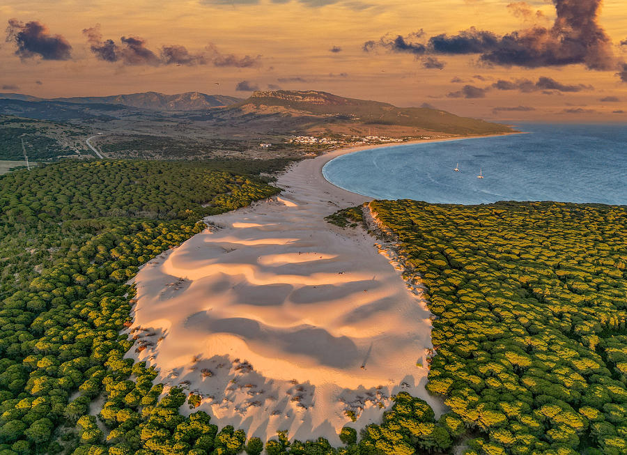 Massive Dune Photograph by Jose Curto